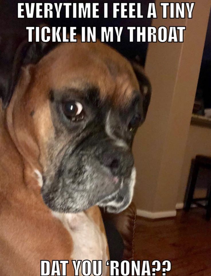 88257466_10222503512955910_5584849831592984576_o